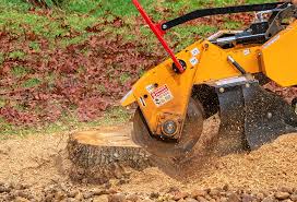 Best Hazardous Tree Removal  in Union, KY