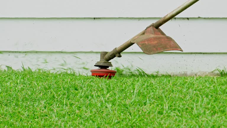 Best Lawn Irrigation Installation and Maintenance  in Union, KY