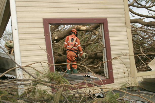 Best Tree Health Inspection  in Union, KY